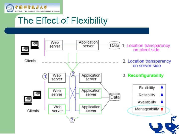 The Effect of Flexibility 