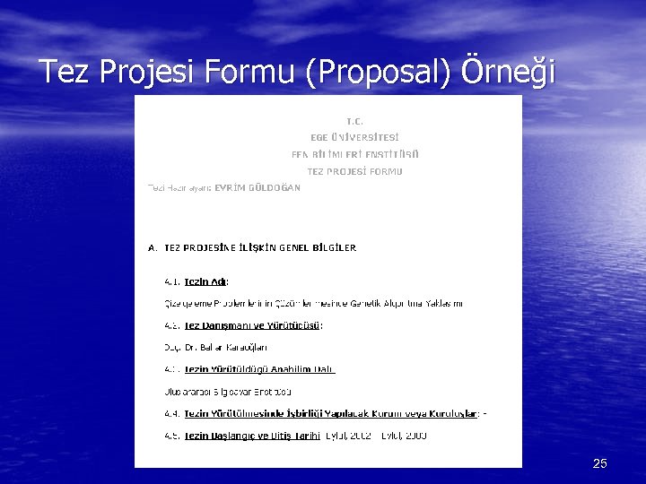 Tez Projesi Formu (Proposal) Örneği 25 