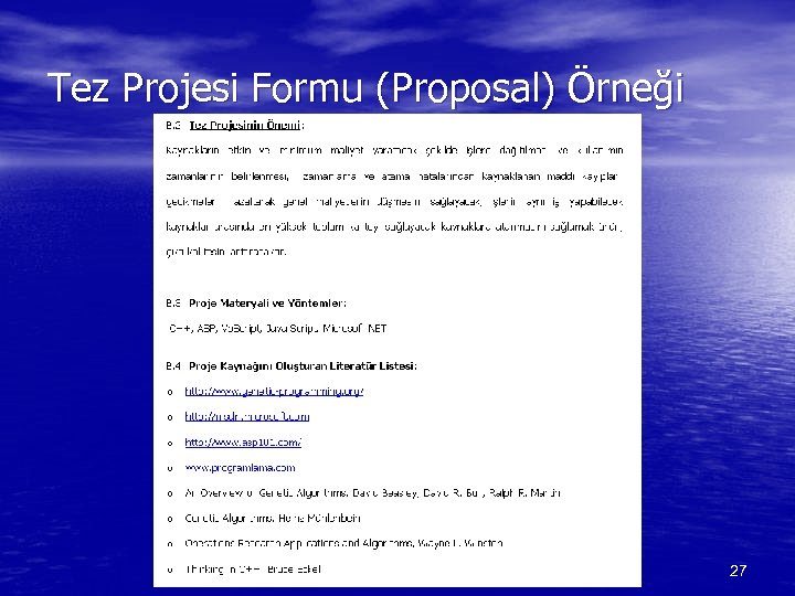Tez Projesi Formu (Proposal) Örneği 27 