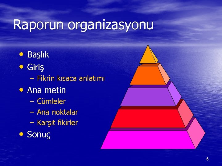 Raporun organizasyonu • Başlık • Giriş – Fikrin kısaca anlatımı • Ana metin –