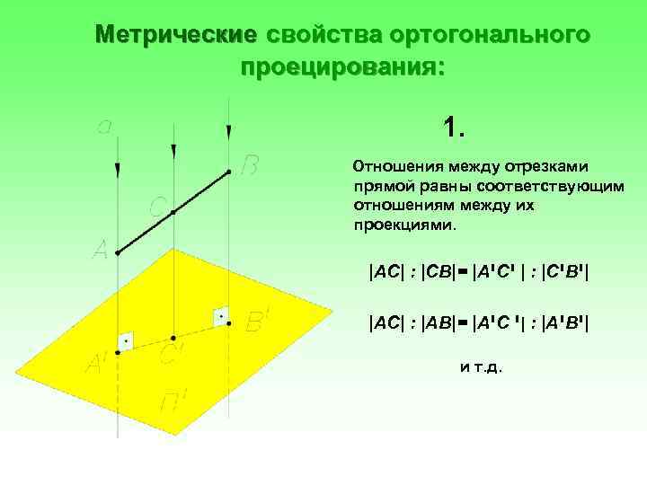 Метрические свойства ортогонального проецирования: 1. Отношения между отрезками прямой равны соответствующим отношениям между их