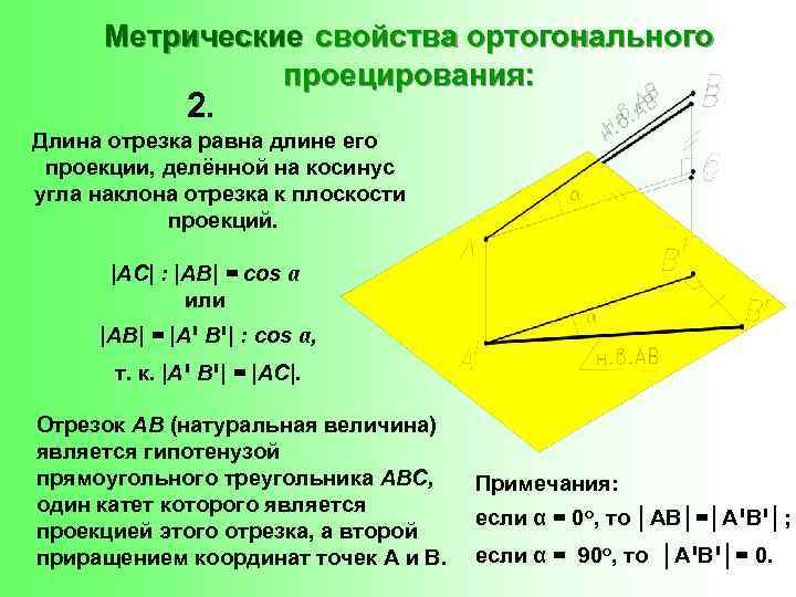 Метрические свойства ортогонального проецирования: 2. Длина отрезка равна длине его проекции, делённой на косинус