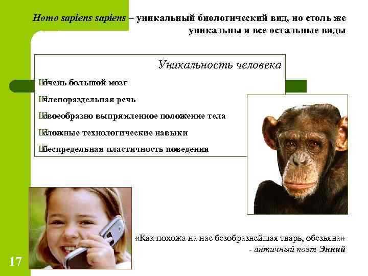 Homo sapiens – уникальный биологический вид, но столь же уникальны и все остальные виды