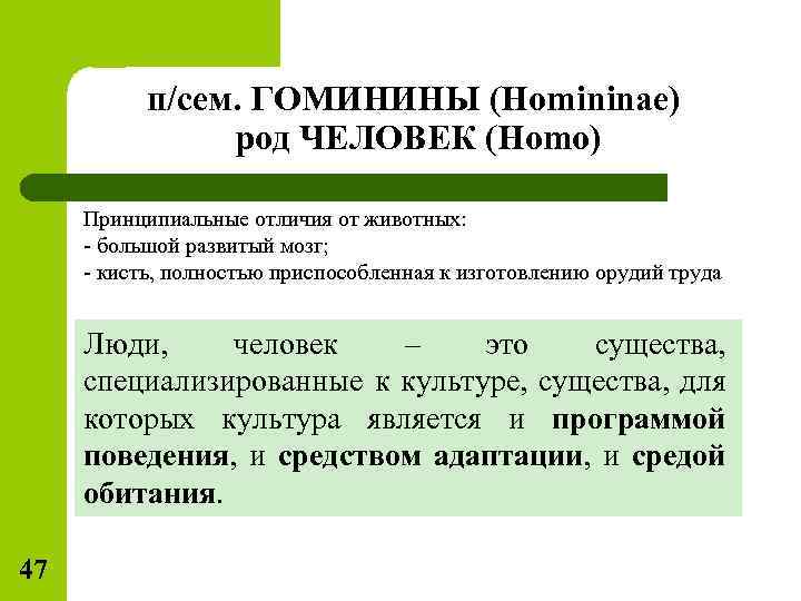 п/сем. ГОМИНИНЫ (Homininae) род ЧЕЛОВЕК (Homo) Принципиальные отличия от животных: - большой развитый мозг;