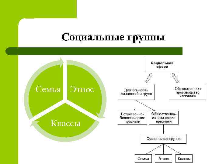 Социальные классы и этнические группы