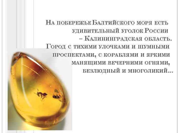 НА ПОБЕРЕЖЬЕ БАЛТИЙСКОГО МОРЯ ЕСТЬ УДИВИТЕЛЬНЫЙ УГОЛОК РОССИИ – КАЛИНИНГРАДСКАЯ ОБЛАСТЬ. ГОРОД С ТИХИМИ