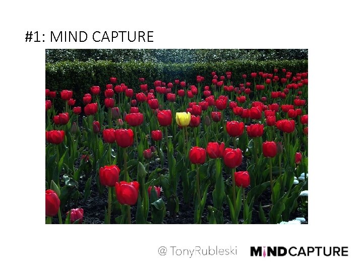 #1: MIND CAPTURE 