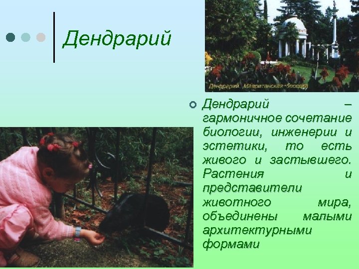 Дендрарий ¢ Дендрарий – гармоничное сочетание биологии, инженерии и эстетики, то есть живого и