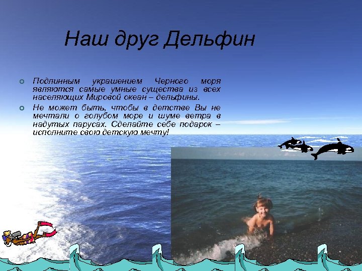 Наш друг Дельфин ¢ ¢ Подлинным украшением Черного моря являются самые умные существа из
