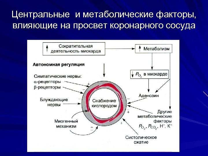 Что значит метаболические изменения