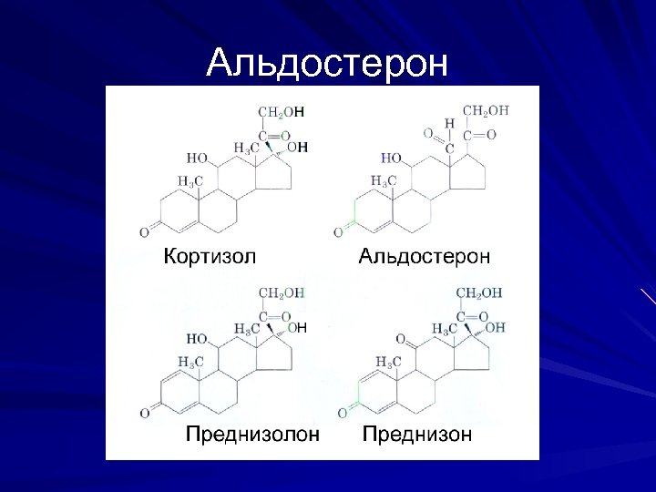 Альдостерон 