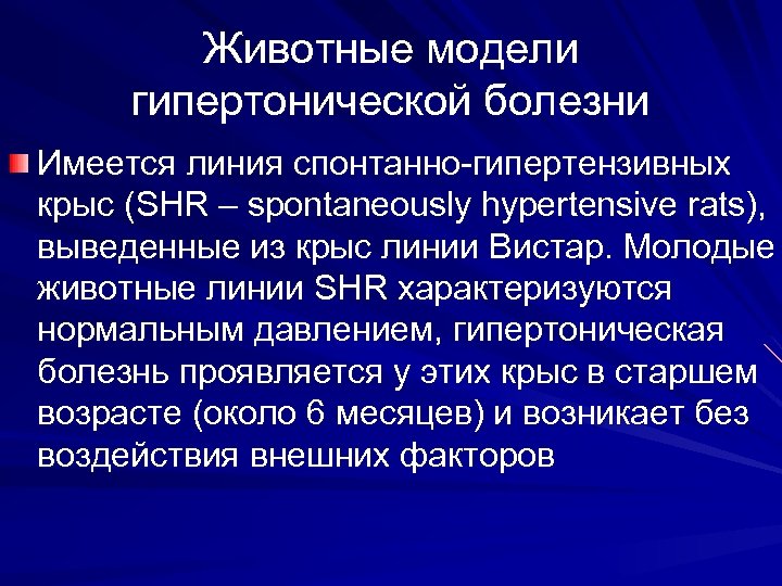 Животные модели гипертонической болезни Имеется линия спонтанно-гипертензивных крыс (SHR – spontaneously hypertensive rats), выведенные