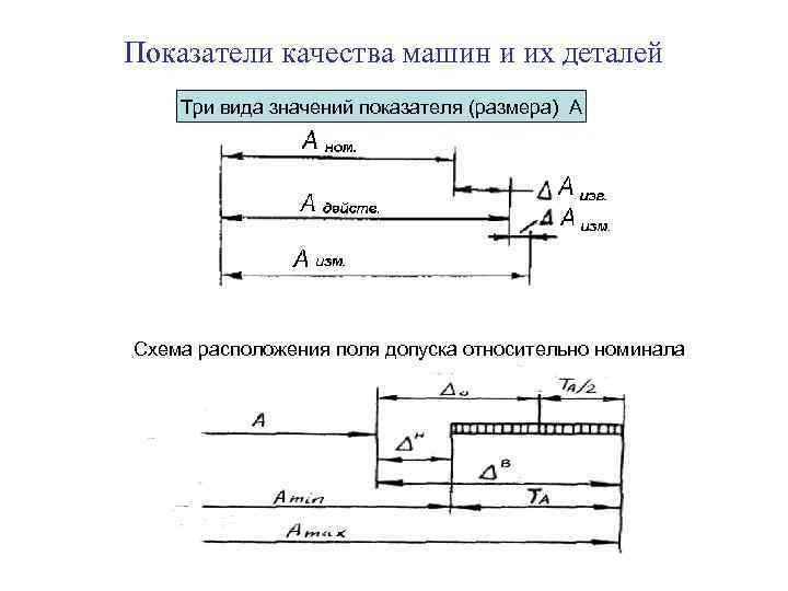 Показатели размеров