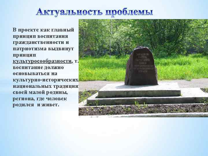 В проекте как главный принцип воспитания гражданственности и патриотизма выдвинут принцип культуросообразности, т. е.