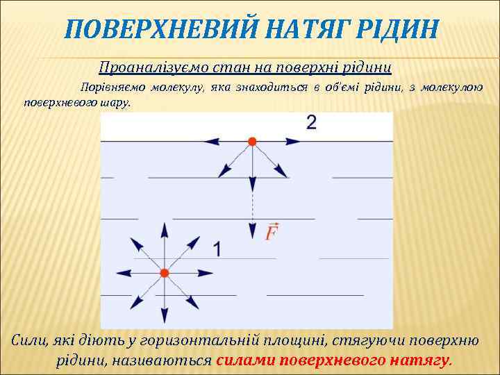 ПОВЕРХНЕВИЙ НАТЯГ РІДИН Проаналізуємо стан на поверхні рідини Порівняємо молекулу, яка знаходиться в об’ємі