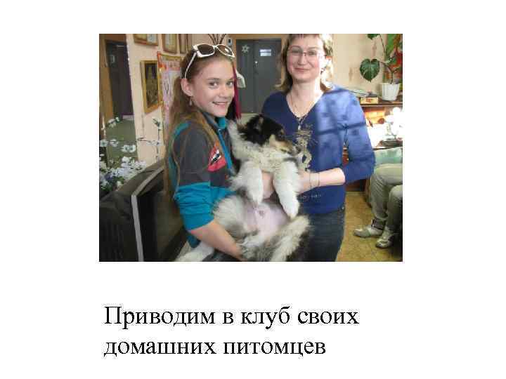 Приводим в клуб своих домашних питомцев 