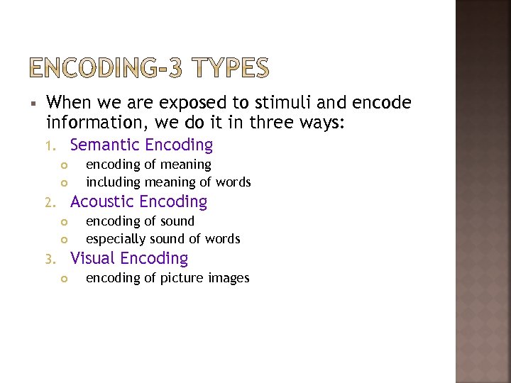 § When we are exposed to stimuli and encode information, we do it in