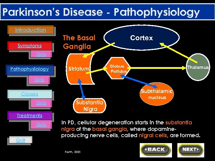 Parkinson’s Disease - Pathophysiology Introduction Symptoms The Basal Ganglia Cortex Quiz Pathophysiology Striatum Globus