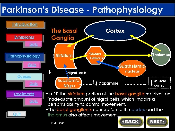 Parkinson’s Disease - Pathophysiology Introduction Symptoms The Basal Ganglia Cortex Quiz Pathophysiology Striatum Globus