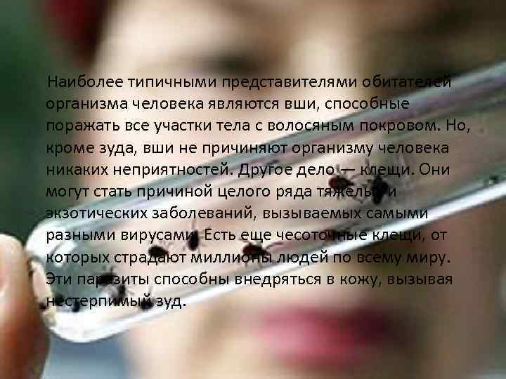  Наиболее типичными представителями обитателей организма человека являются вши, способные поражать все участки тела