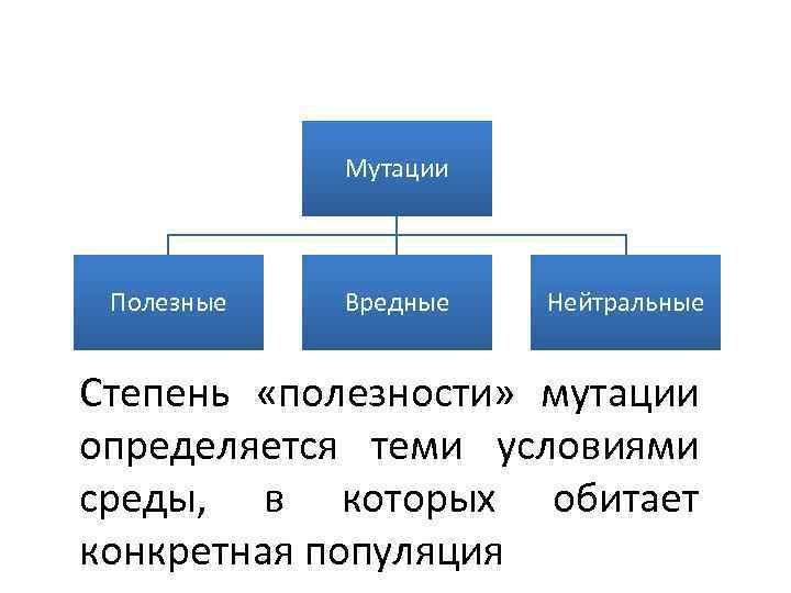 Мутации и их роль в эволюционном процессе презентация