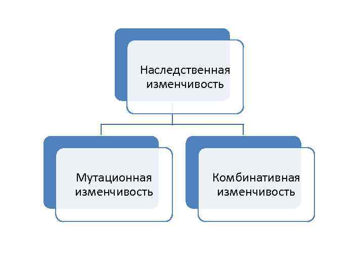 Комбинативная изменчивость мутационная изменчивость презентация