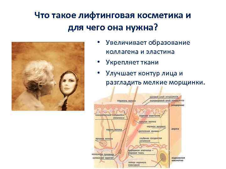 Что такое лифтинговая косметика и для чего она нужна? • Увеличивает образование коллагена и