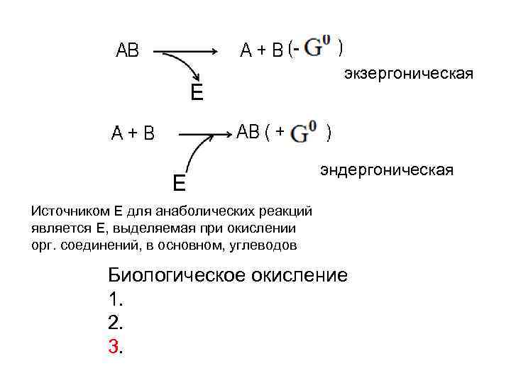 экзергоническая эндергоническая Источником Е для анаболических реакций является Е, выделяемая при окислении орг. соединений,