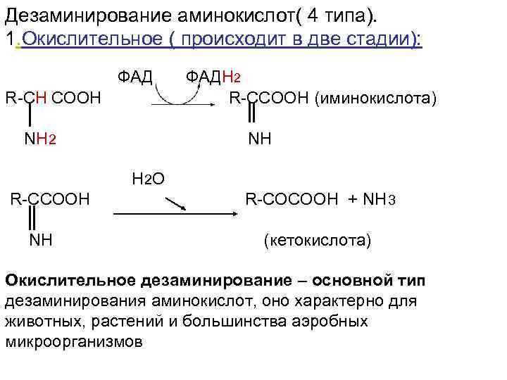 Реакция окислительного дезаминирования. Реакция окислительного дезаминирования глутаминовой кислоты. Реакции прямого дезаминирования аминокислот. Общая схема дезаминирования аминокислот. Дезаминирование аминокислот биохимия реакции.