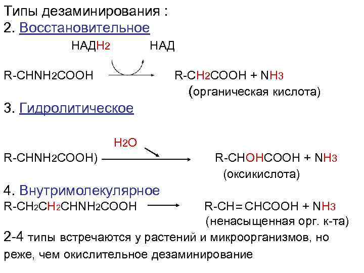 В результате дезаминирования образуется. 4 Типа дезаминирования аминокислот. Основные пути дезаминирования. Типы дезаминирования аминокислот биохимия. Дезаминирование 4 типа реакции.