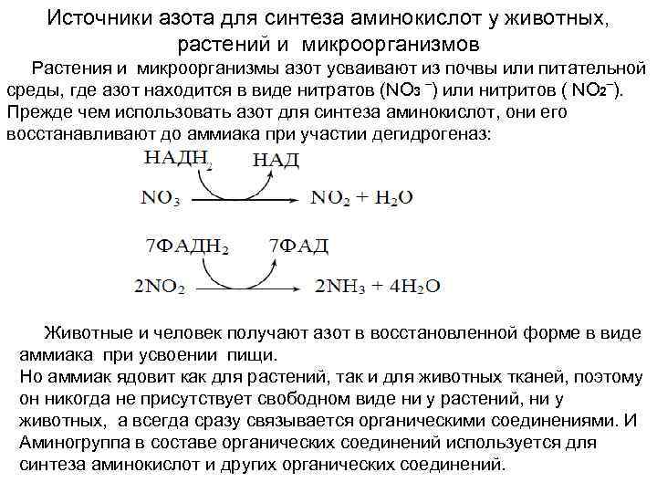 Источники азота для синтеза аминокислот у животных, растений и микроорганизмов Растения и микроорганизмы азот