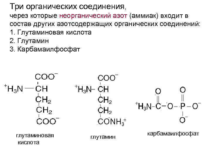 Три органических соединения, через которые неорганический азот (аммиак) входит в состав других азотсодержащих органических