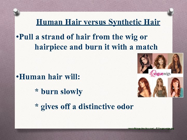 Human Hair versus Synthetic Hair • Pull a strand of hair from the wig