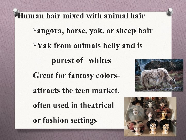  • Human hair mixed with animal hair *angora, horse, yak, or sheep hair
