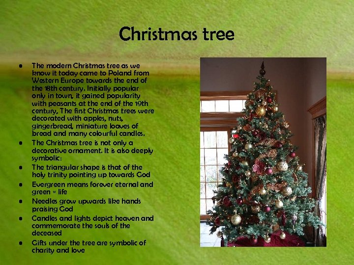 Christmas tree • • The modern Christmas tree as we know it today came