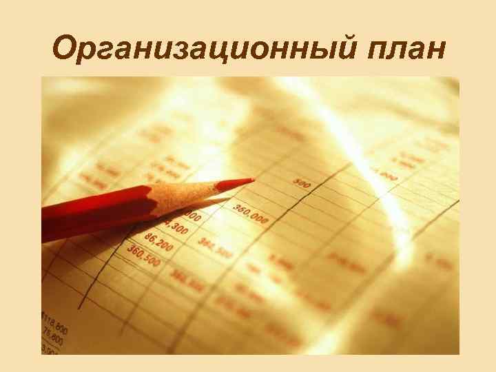 Организационный план 