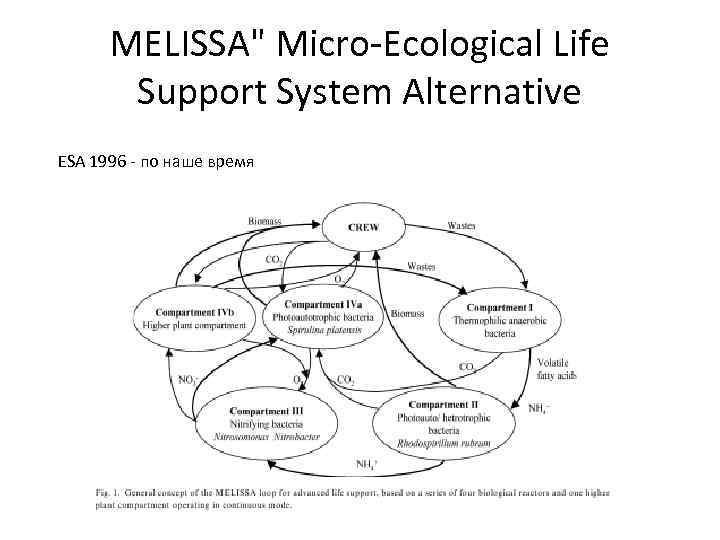 MELISSA" Micro-Ecological Life Support System Alternative ESA 1996 - по наше время 