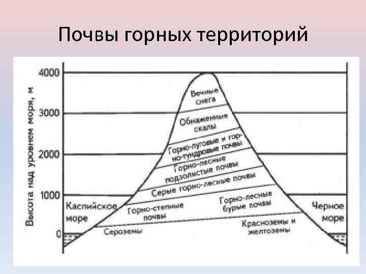 Почвы горных территорий 