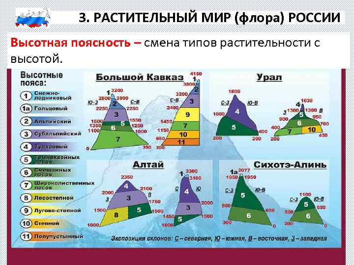 Области высотной поясности фото