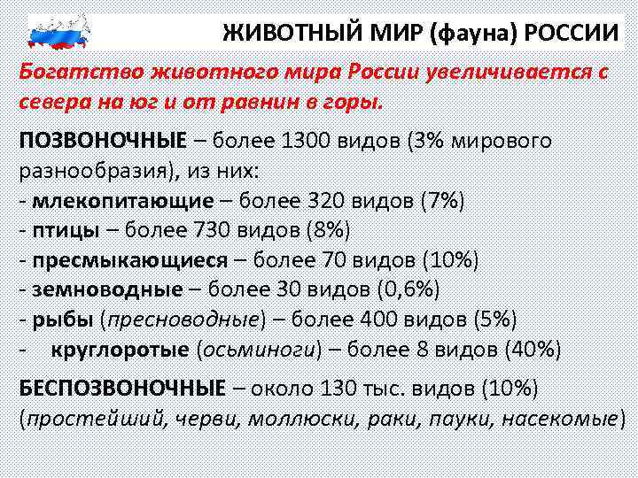 ЖИВОТНЫЙ МИР (фауна) РОССИИ Богатство животного мира России увеличивается с севера на юг и