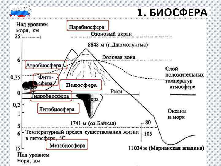 Биосфера оболочка жизни 6 класс контурная карта