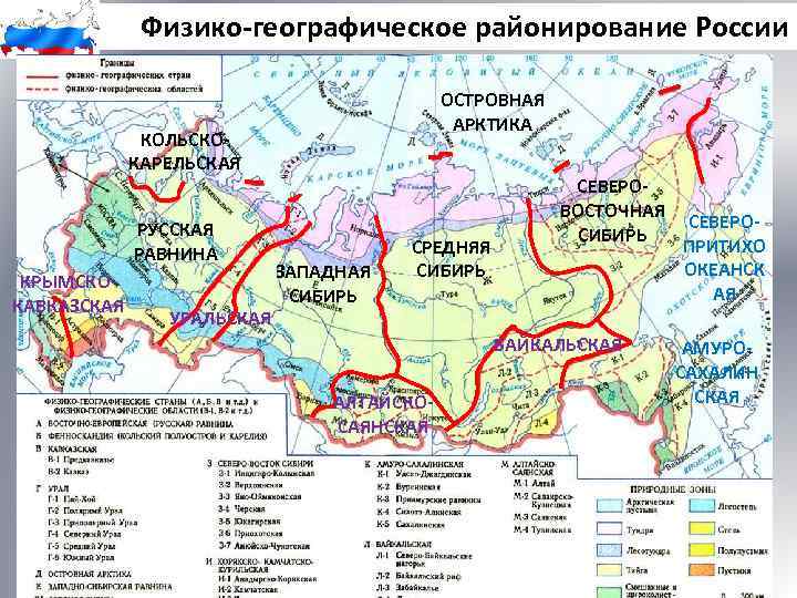 Физико-географическое районирование России ОСТРОВНАЯ АРКТИКА КОЛЬСКОКАРЕЛЬСКАЯ РУССКАЯ РАВНИНА КРЫМСКОКАВКАЗСКАЯ УРАЛЬСКАЯ ЗАПАДНАЯ СИБИРЬ СРЕДНЯЯ СИБИРЬ