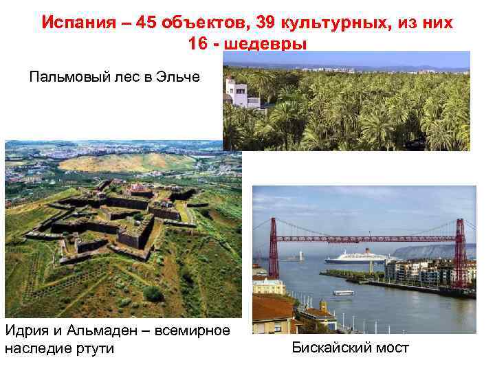 Испания – 45 объектов, 39 культурных, из них 16 - шедевры Пальмовый лес в