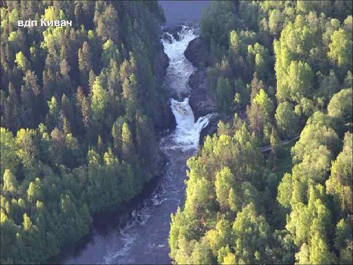 вдп Кивач 