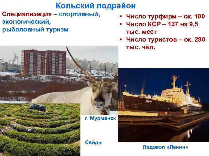 Кольский подрайон Специализация – спортивный, экологический, рыболовный туризм • Число турфирм – ок. 100