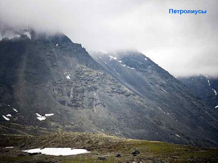 Петролиусы 