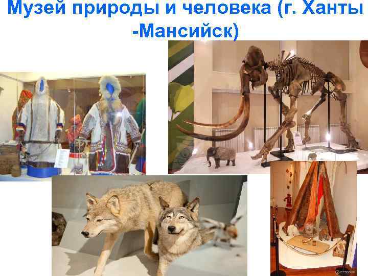 Музей природы и человека (г. Ханты -Мансийск) 