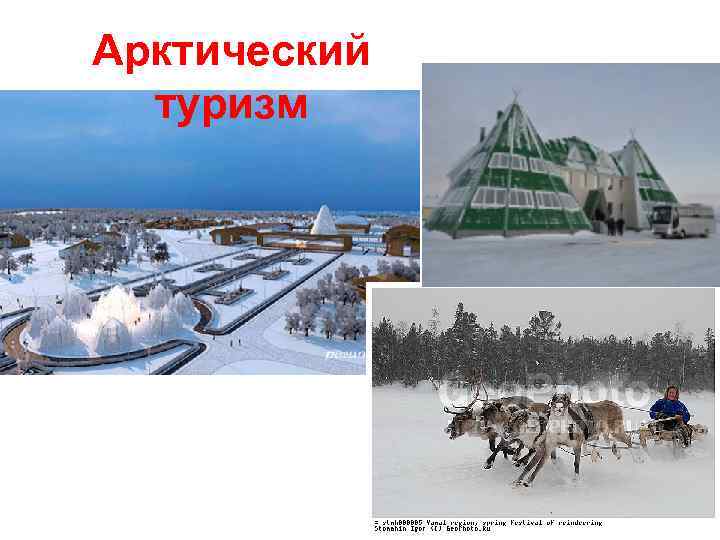 Арктический туризм 