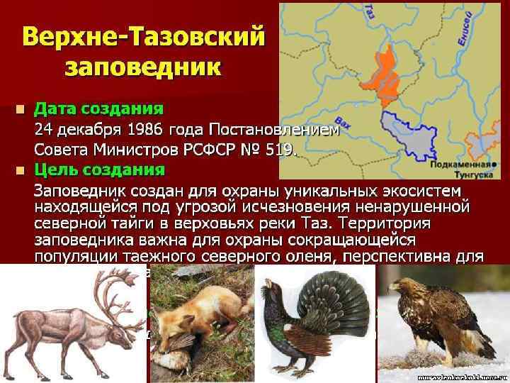 Верхне-Тазовский заповедник 