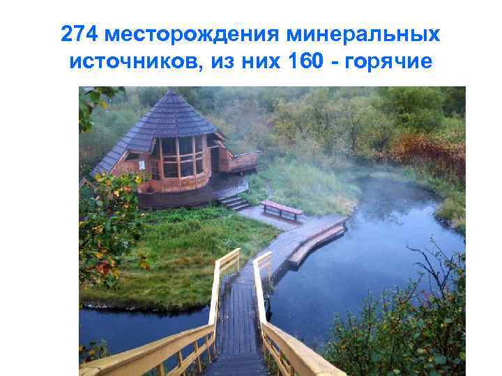 274 месторождения минеральных источников, из них 160 - горячие 